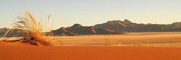 On Safari in Namibia